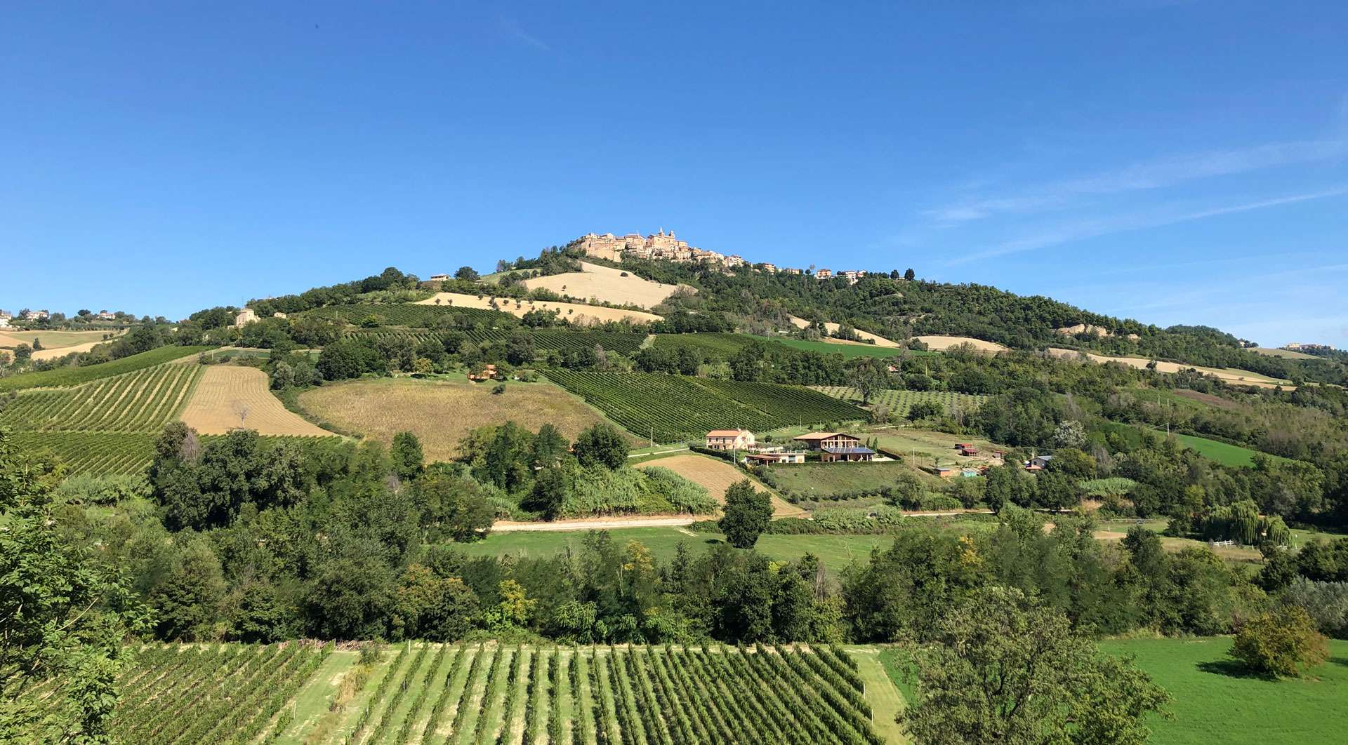 Le Vigne di Clementina Fabi – Cantina nelle Marche